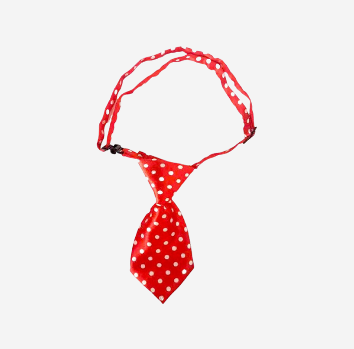 Pet Tie for Cats and Dogs