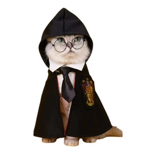 Cosplay Cloak Cat Costume