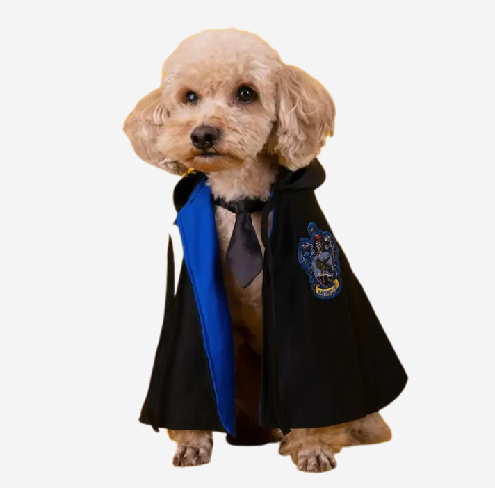 Cosplay Cloak Cat Costume