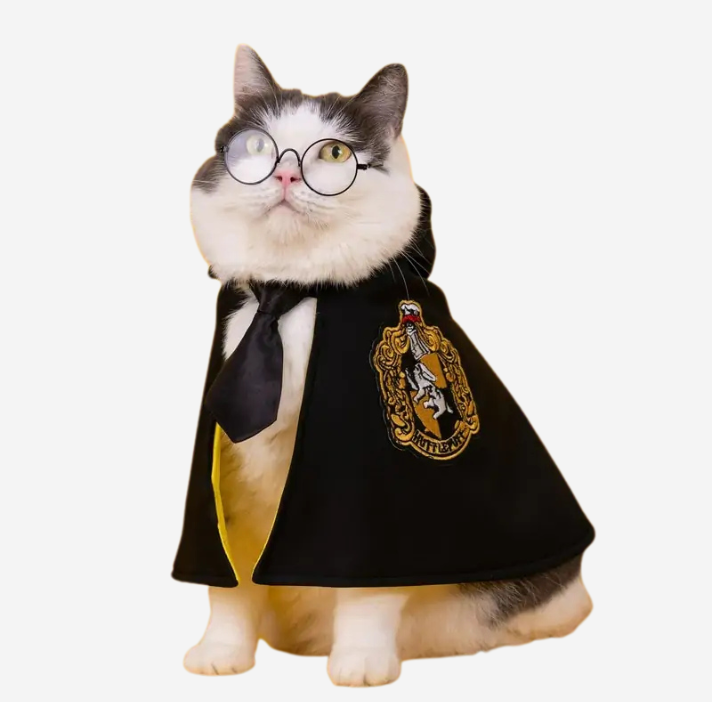 Cosplay Cloak Cat Costume