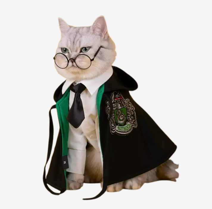 Cosplay Cloak Cat Costume