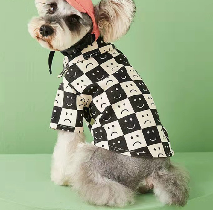 Checked Denim Shirt