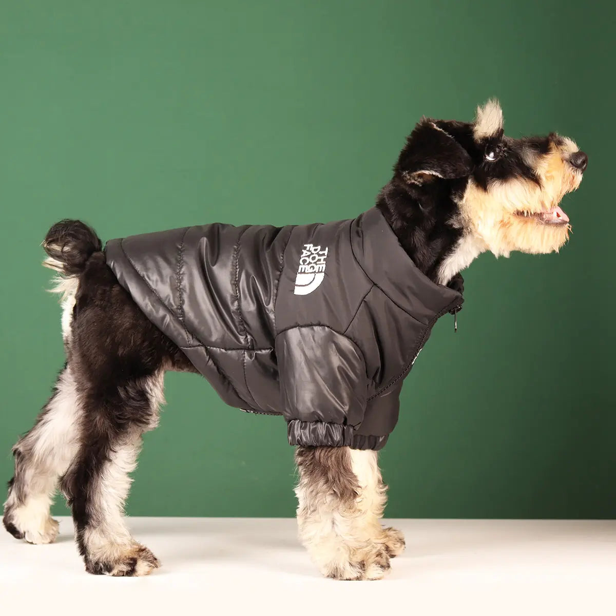 Windproof Winter Dog Jacket