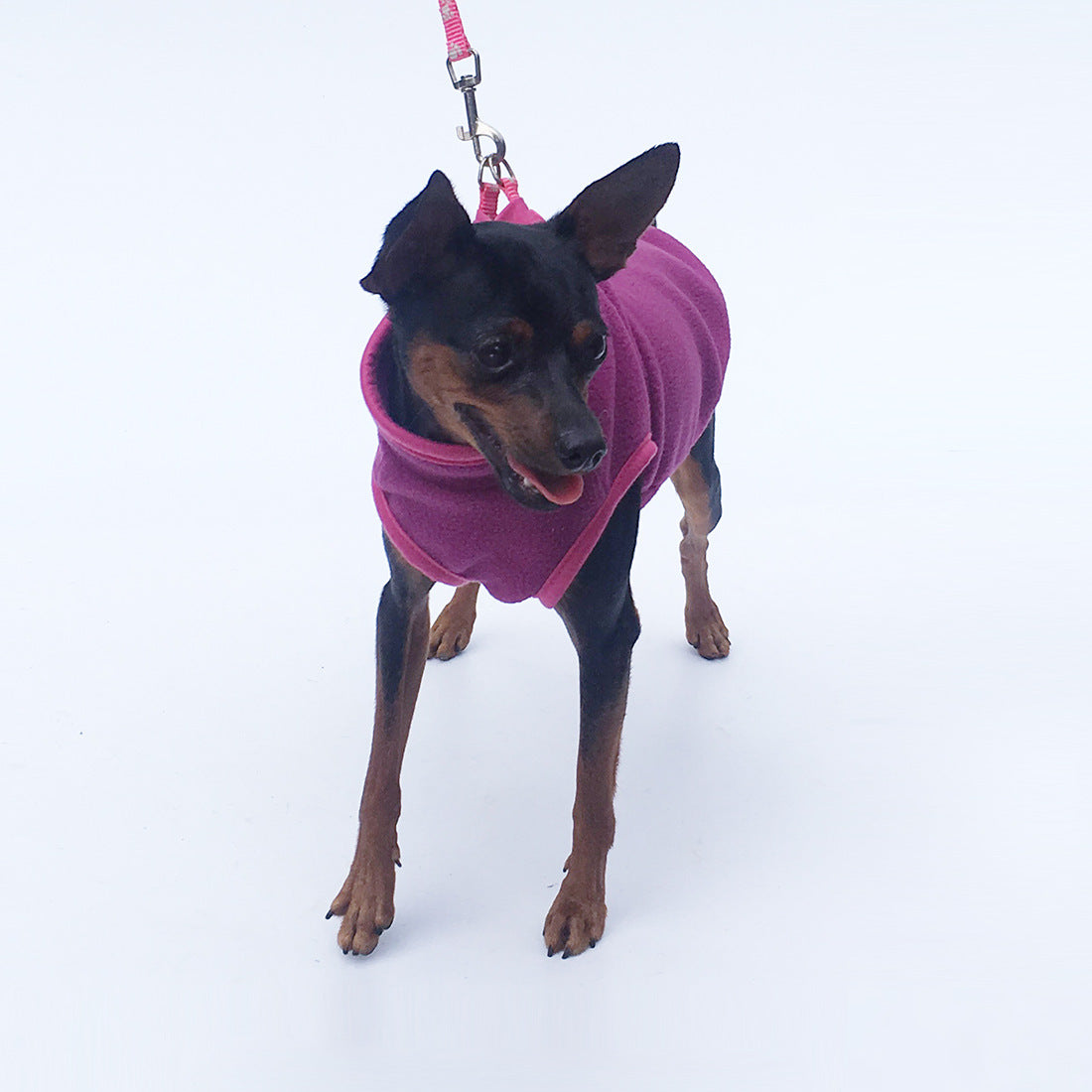 Cozy Fleece Pet Sweater