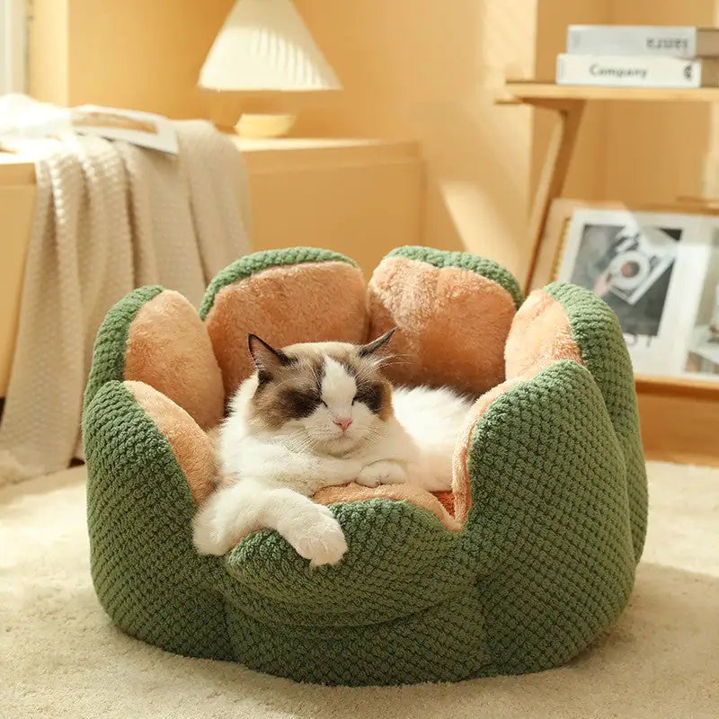 Cactus Pet Nest