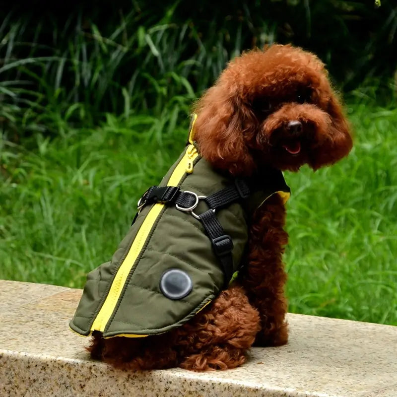 Waterproof Coat with Harness