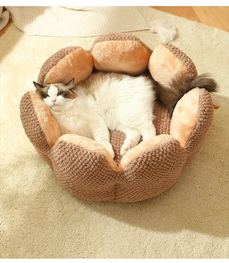 Cactus Pet Nest