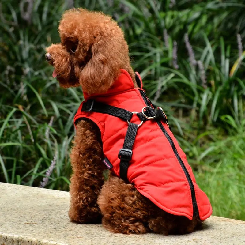 Waterproof Coat with Harness