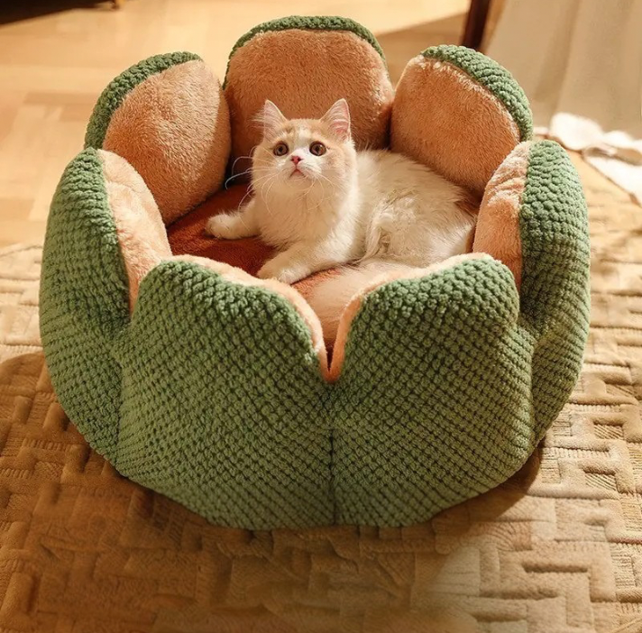 Cactus Pet Nest