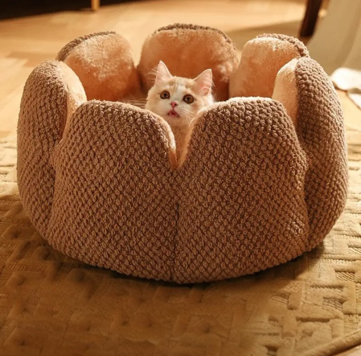 Cactus Pet Nest