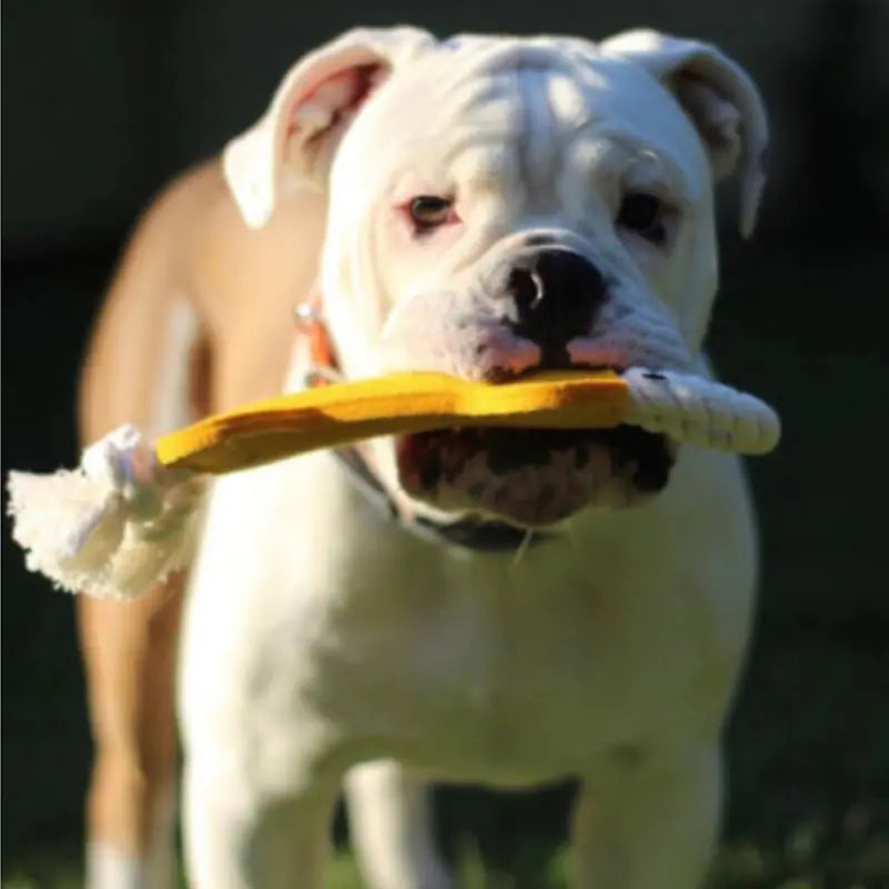Bone Shape Fetch & Tug Dog Toy
