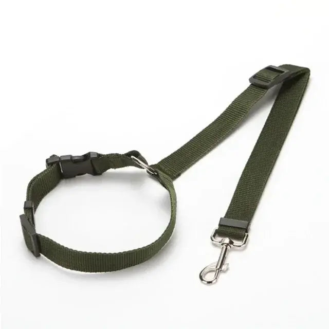 Car Seat Belt & Harness