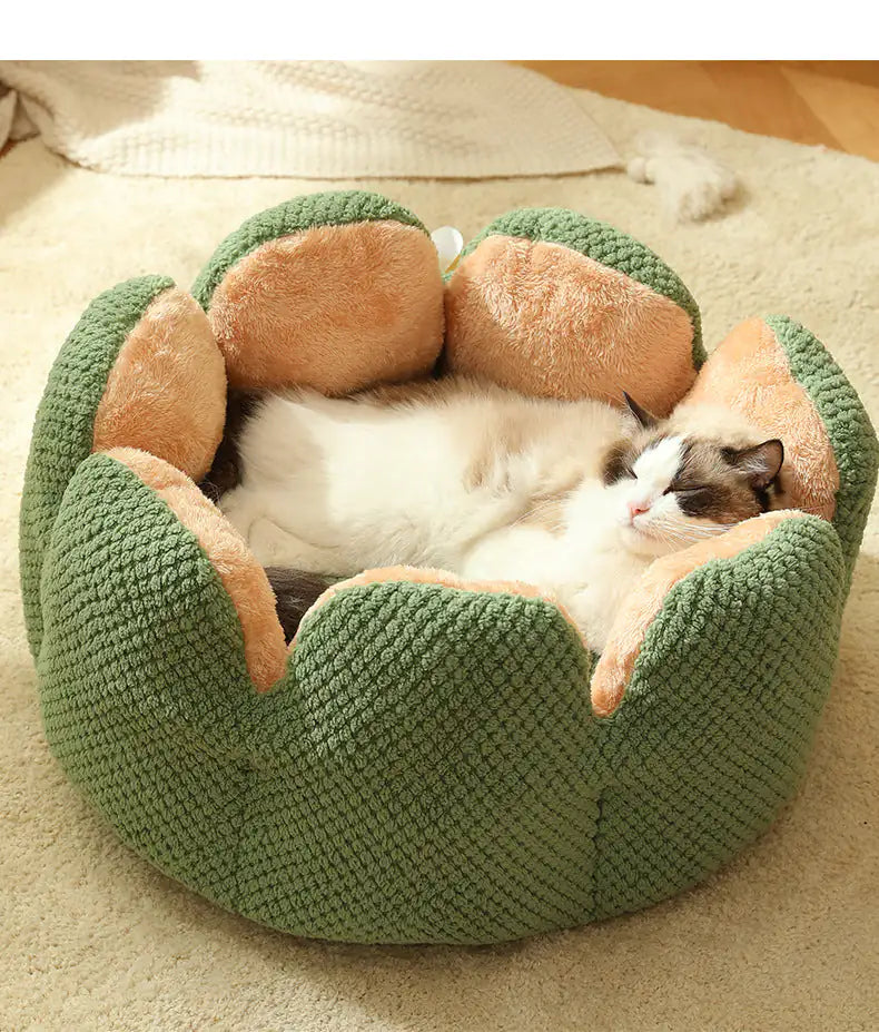 Cactus Pet Nest