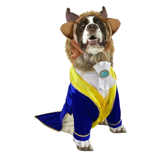 Disney Beauty & The Beast Pet Costume – The Beast Edition