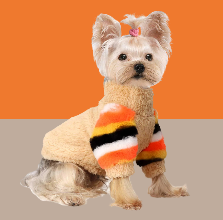 Rainbow Sleeve Dog Sweater