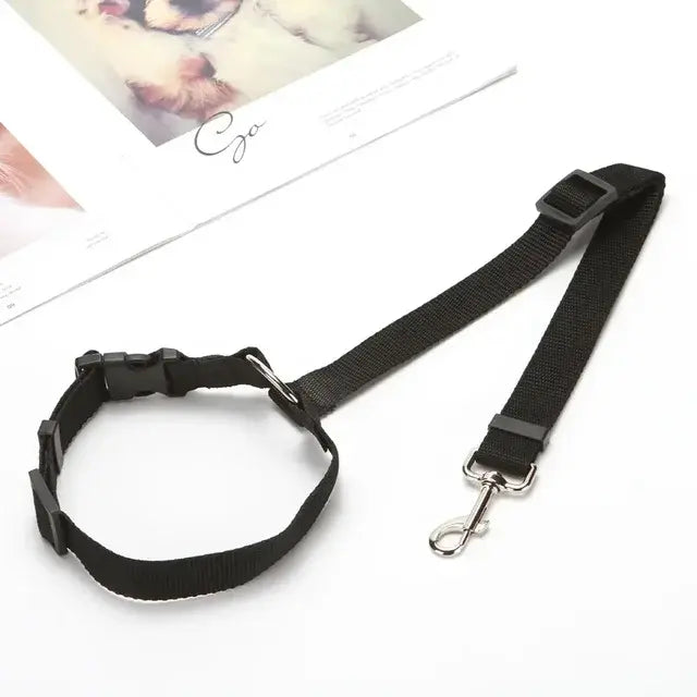Car Seat Belt & Harness