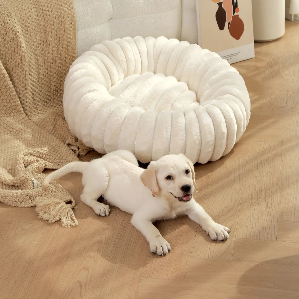 Round Pet Bed