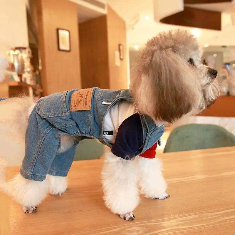 Denim Dog Jumpsuit