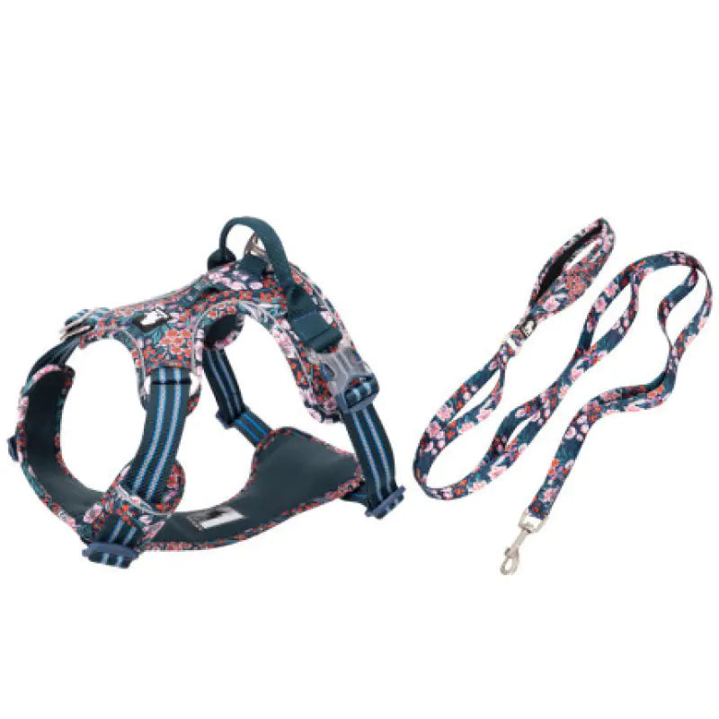 Dog Leash and Vest Harness Set