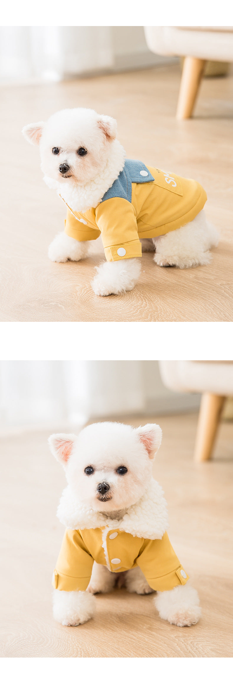 You Make me Smile Dog Coat