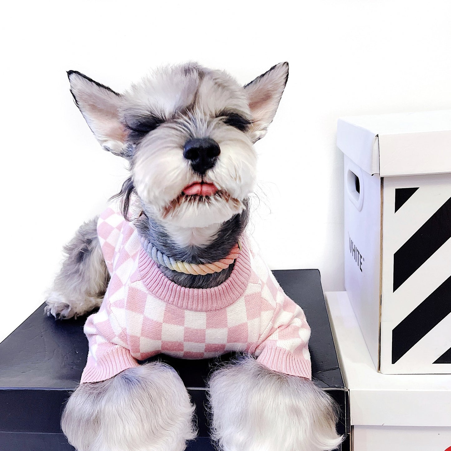 Checkerboard Dog Sweater