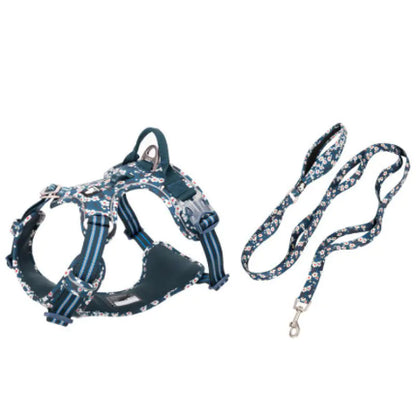 Dog Leash and Vest Harness Set