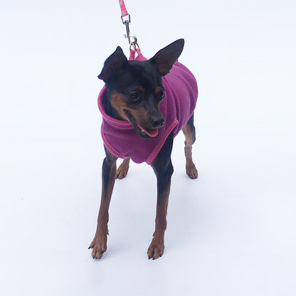 Cozy Fleece Pet Sweater