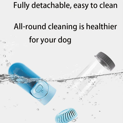 Portable Water Bottle