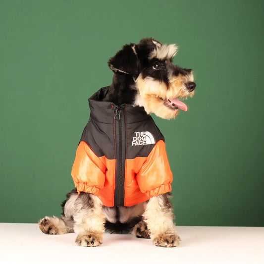 Windproof Winter Dog Jacket