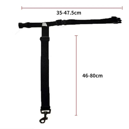 Car Seat Belt & Harness