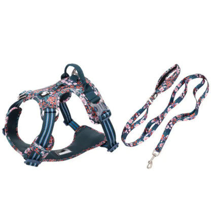 Dog Leash and Vest Harness Set