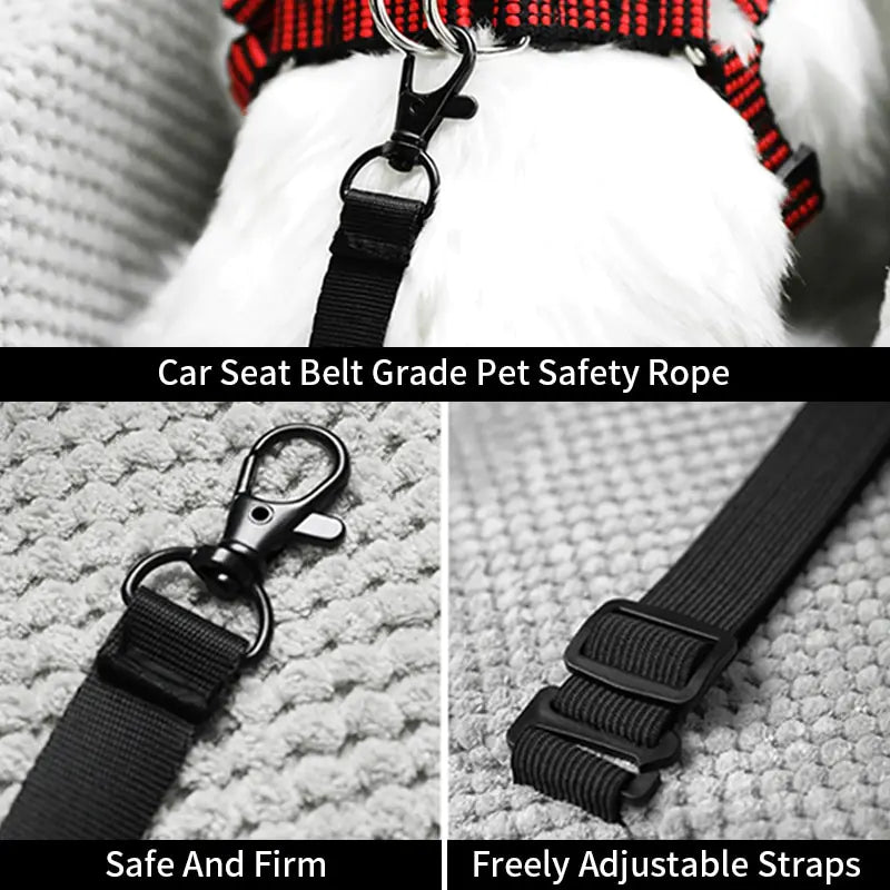 Safety Seat
