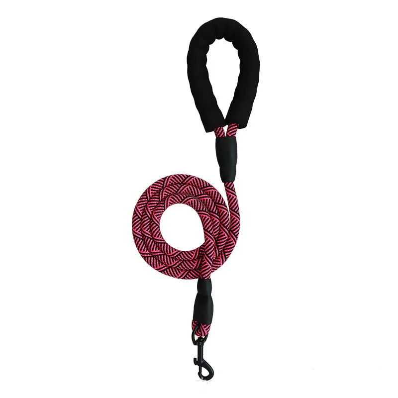 City Leash