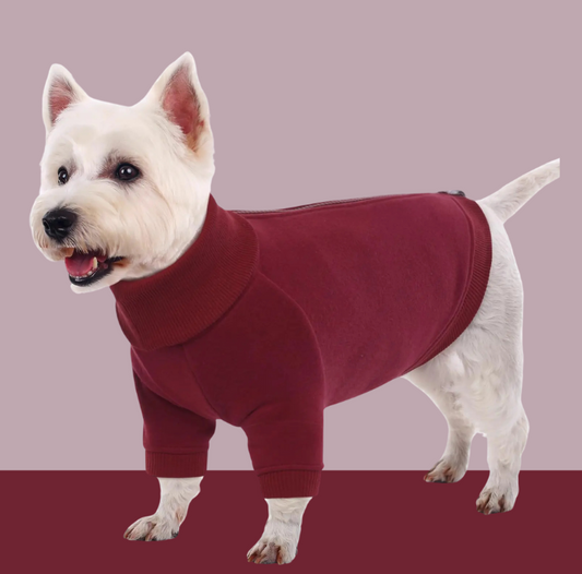 Turtleneck Dog Sweater
