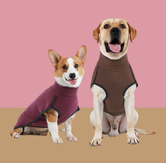 Cotton Pet Sweater