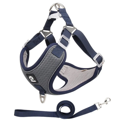 Adjustable Pet Harness with Leash