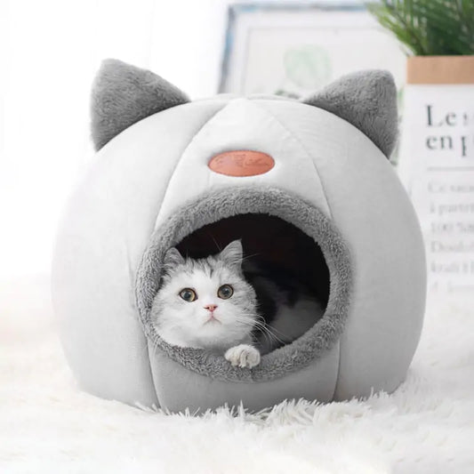 Nest with Cushion