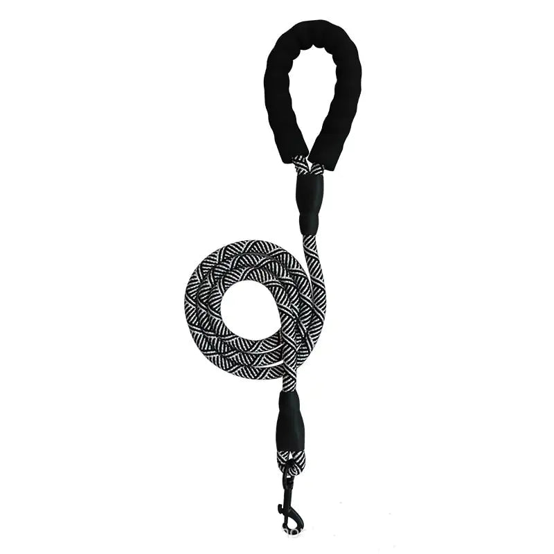 City Leash
