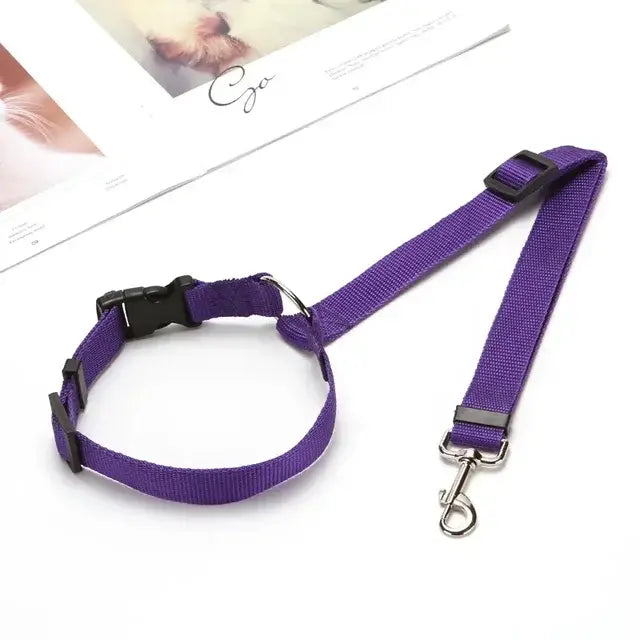 Car Seat Belt & Harness