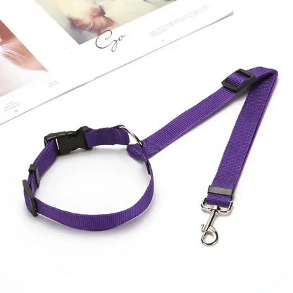 Car Seat Belt & Harness