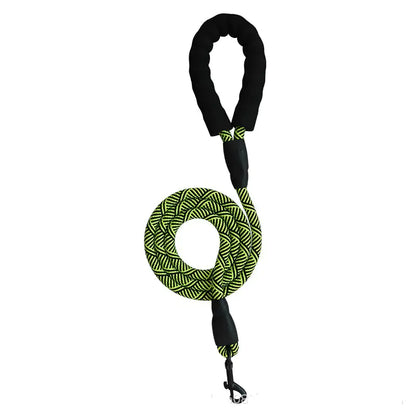 City Leash