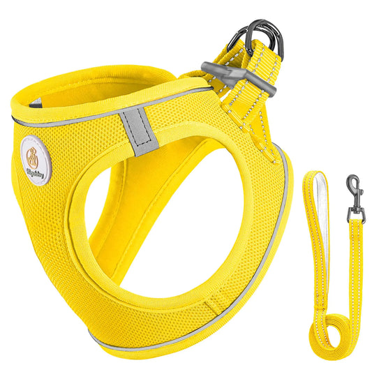 Dog Harness/Leash (S)