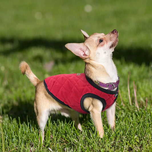 Warm Winter Dog Jacket