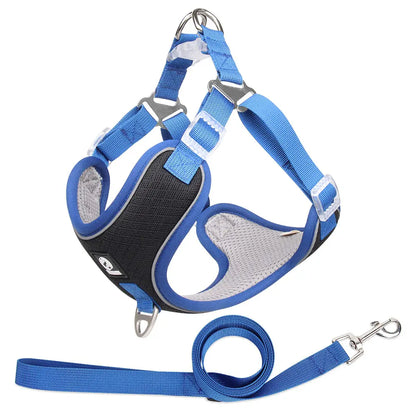 Adjustable Pet Harness with Leash