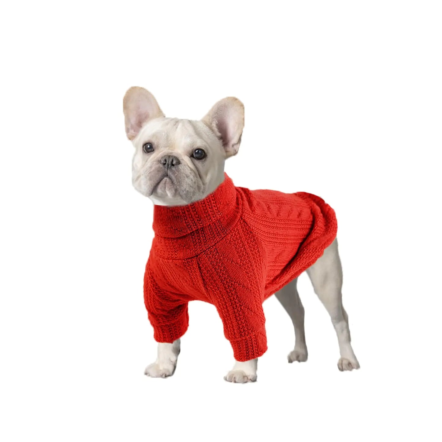 Red Dog Sweater