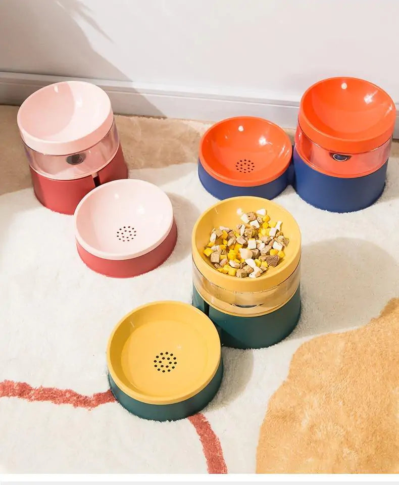 Pet Food and Water Bowl