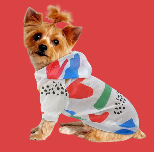 Colorful Dog Raincoat