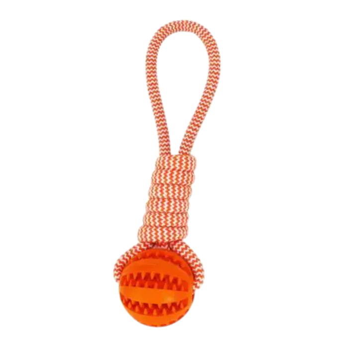 Twist Pet Ball with Rope