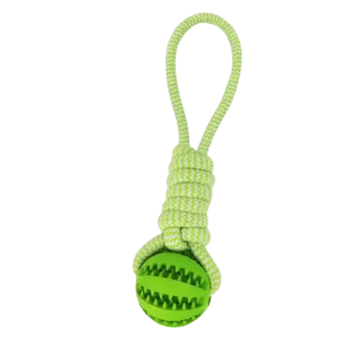 Twist Pet Ball with Rope