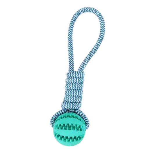 Twist Pet Ball with Rope